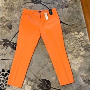 NWT Audrey Crop NY&Co